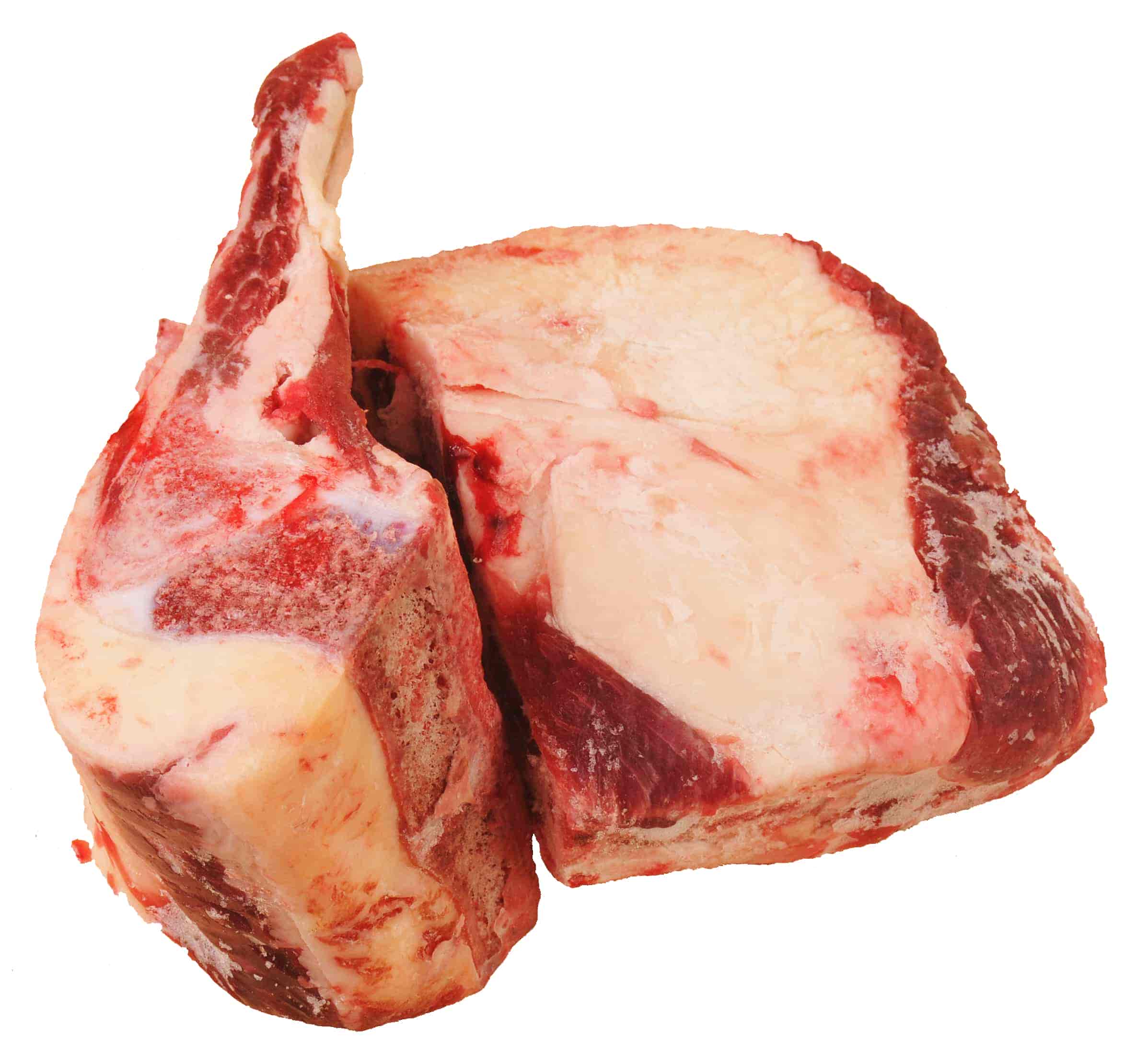 Dog Beef Brisket Bones